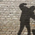 assault fir exclusive vb 31