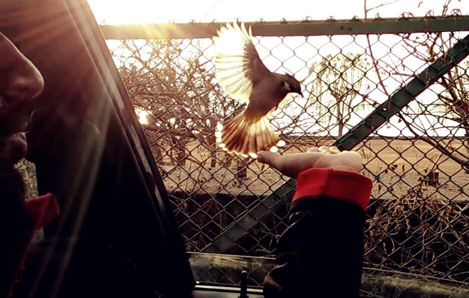 WhatsApp Image 2022 01 09 at 3.49.32 PM