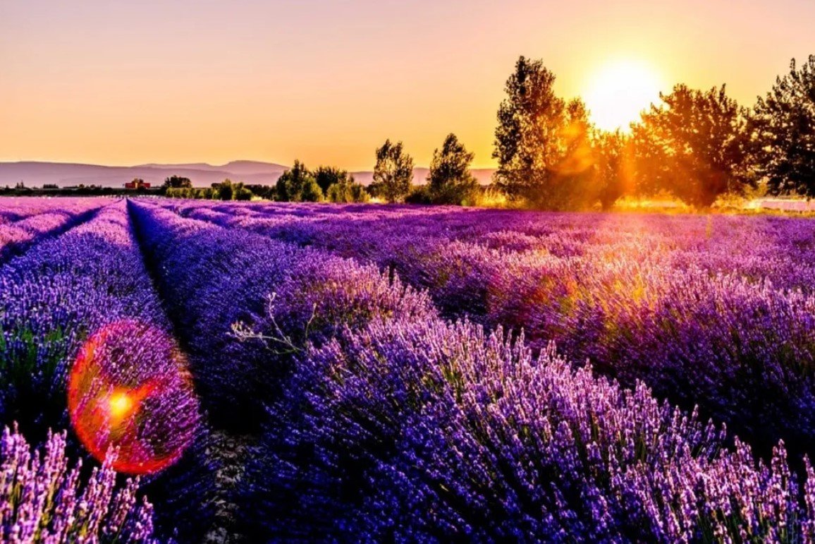 Screenshot 2022 05 25 161248