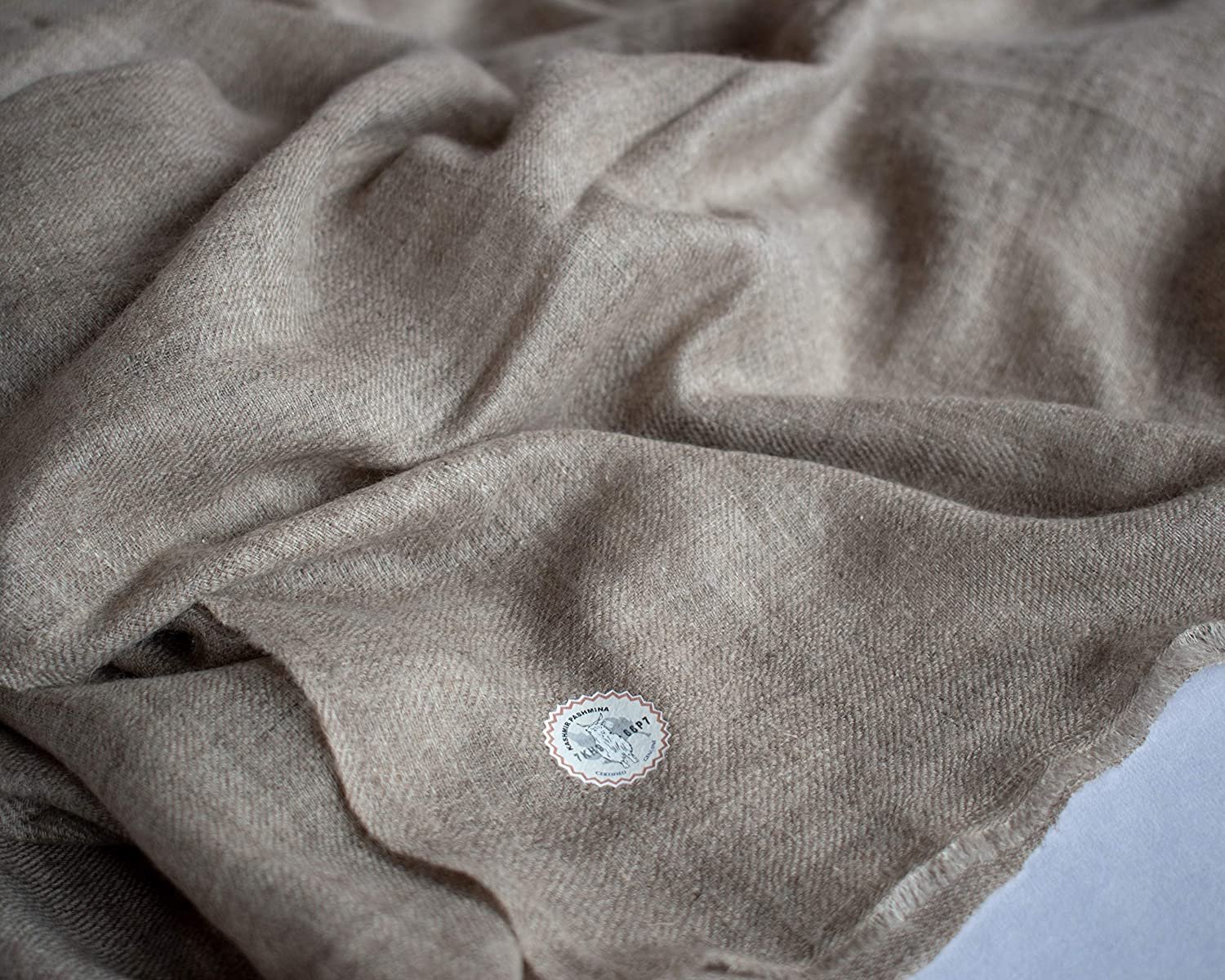 (Image sourced from www.shahkaar.in)