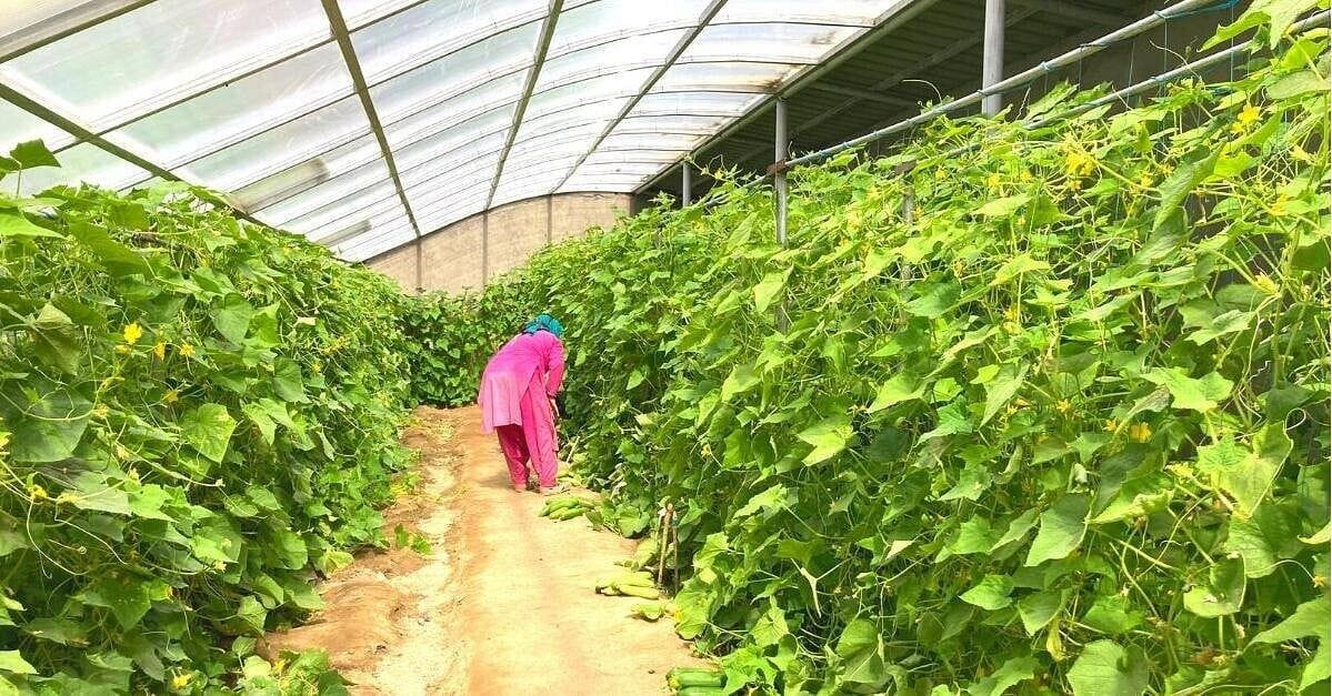 2d9c8a5b d670 488e afd7 a45e956d61da