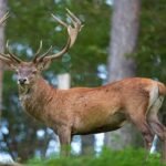 ad2d4726 79b1 4e29 aafa 559a1ec51aaf