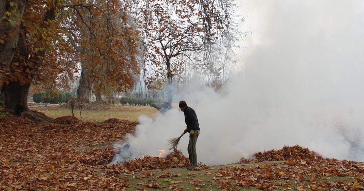 185139 wvykjljeqd 1672731630 1