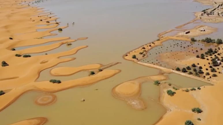 5ko5ef4 sahara desert
